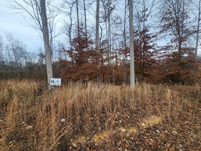 0 Peninsulas Edge Dr, S, Smithville, TN 37166