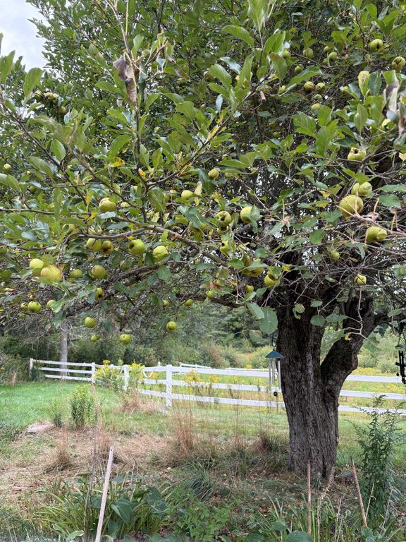 715 Gilmore Pond Road, Jaffrey, NH 03452