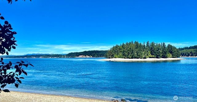 10911 Seaview Drive, Anderson Island, WA 98303