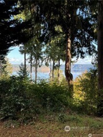10911 Seaview Drive, Anderson Island, WA 98303
