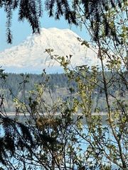 10911 Seaview Drive, Anderson Island, WA 98303