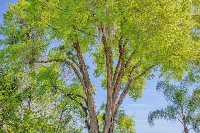 853 PINE SHADOW DRIVE, Apopka, FL 32712