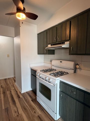 4420 W 111th Street 104, Oak Lawn, IL 60453