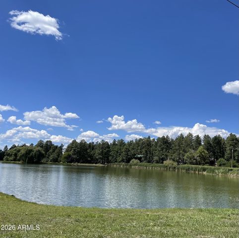 416 W ROCK Lane, Lakeside, AZ 85929