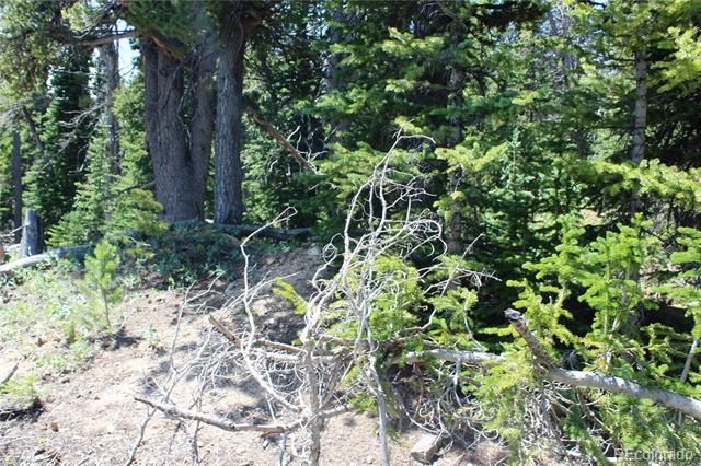 00 FS 412.1J, Black Hawk, CO 80422