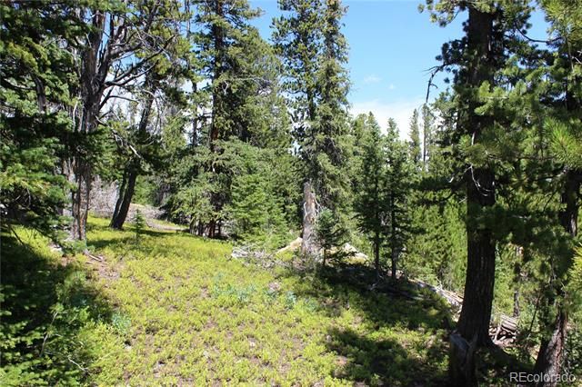 00 FS 412.1J, Black Hawk, CO 80422