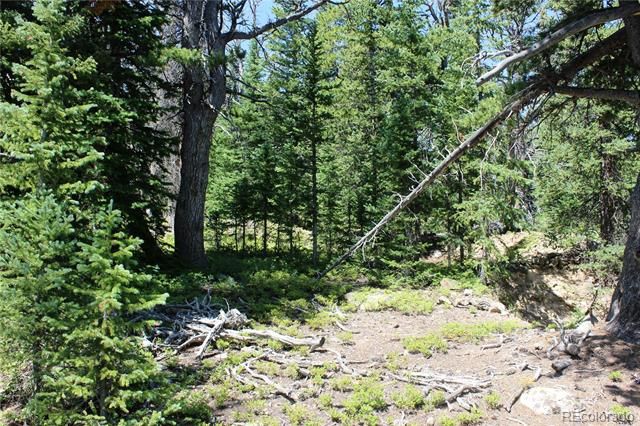 00 FS 412.1J, Black Hawk, CO 80422