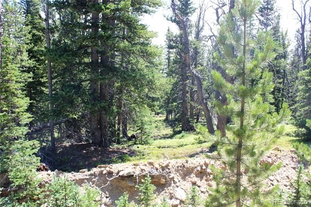 00 FS 412.1J, Black Hawk, CO 80422