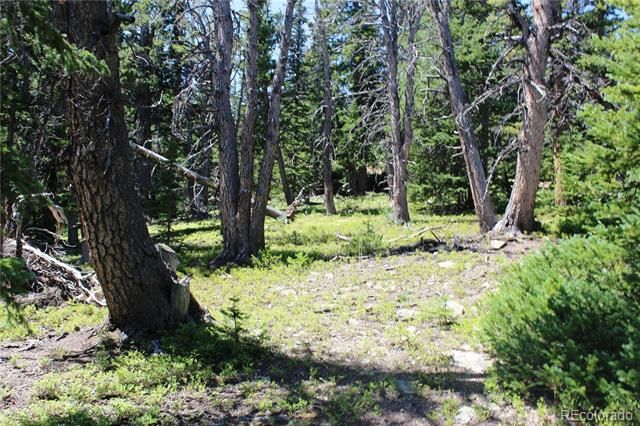 00 FS 412.1J, Black Hawk, CO 80422