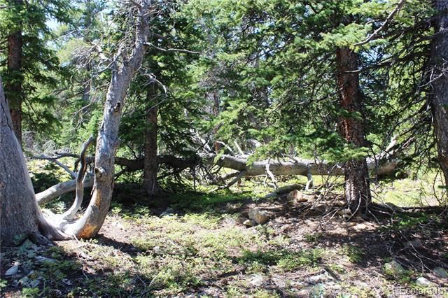 00 FS 412.1J, Black Hawk, CO 80422