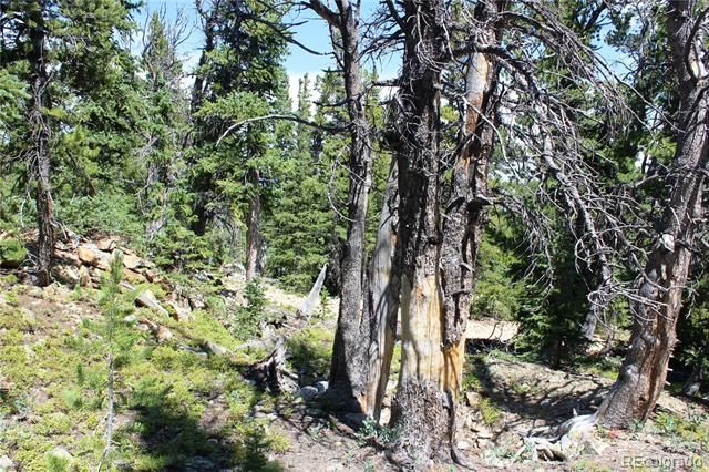 00 FS 412.1J, Black Hawk, CO 80422