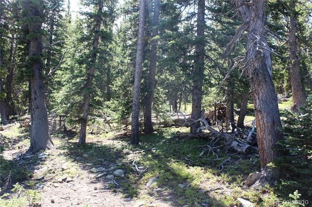 00 FS 412.1J, Black Hawk, CO 80422