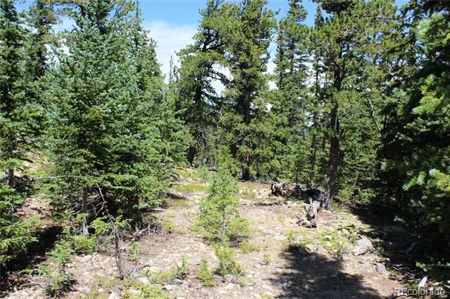 00 FS 412.1J, Black Hawk, CO 80422