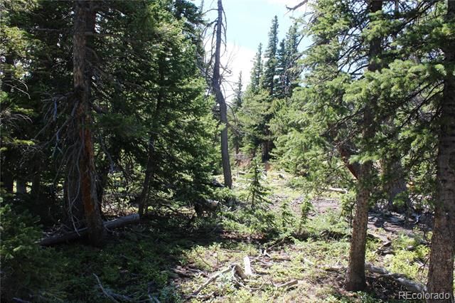 00 FS 412.1J, Black Hawk, CO 80422