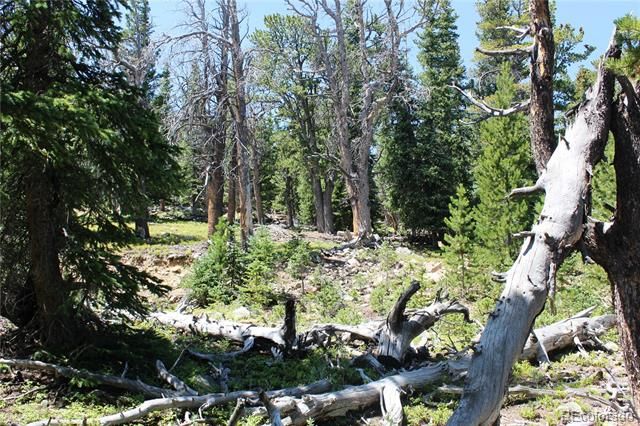 00 FS 412.1J, Black Hawk, CO 80422