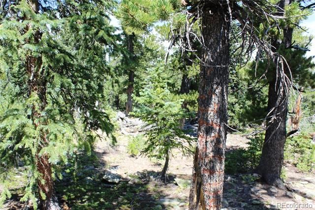 00 FS 412.1J, Black Hawk, CO 80422