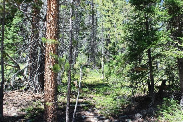 00 FS 412.1J, Black Hawk, CO 80422