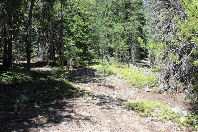 00 FS 412.1J, Black Hawk, CO 80422