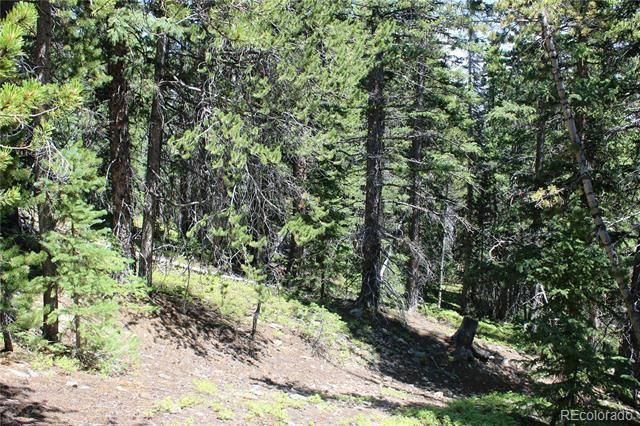 00 FS 412.1J, Black Hawk, CO 80422