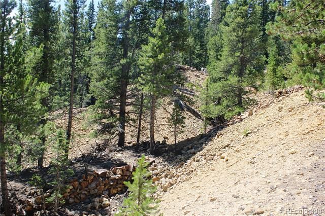 00 FS 412.1J, Black Hawk, CO 80422