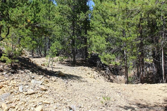 00 FS 412.1J, Black Hawk, CO 80422