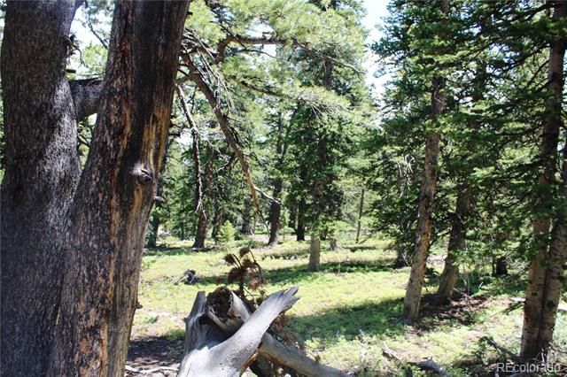 00 FS 412.1J, Black Hawk, CO 80422