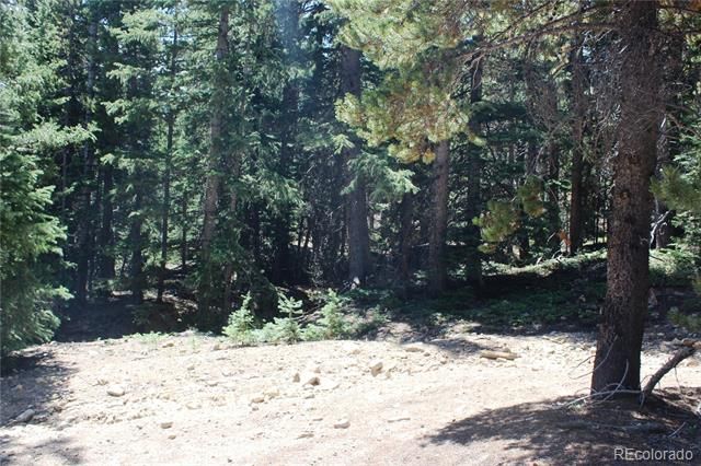 00 FS 412.1J, Black Hawk, CO 80422