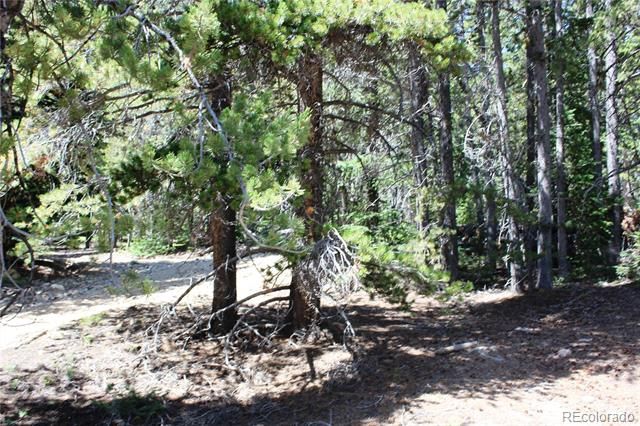 00 FS 412.1J, Black Hawk, CO 80422