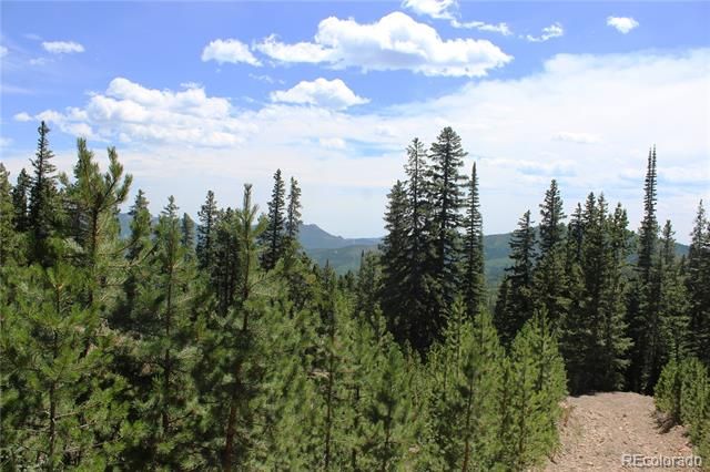 00 FS 412.1J, Black Hawk, CO 80422