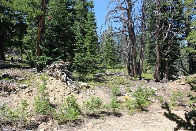 00 FS 412.1J, Black Hawk, CO 80422