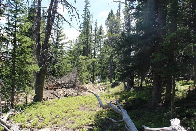 00 FS 412.1J, Black Hawk, CO 80422