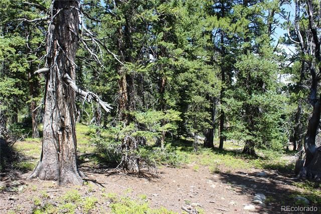 00 FS 412.1J, Black Hawk, CO 80422