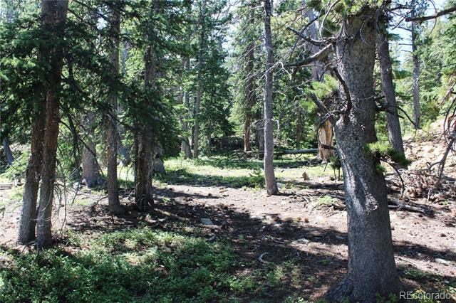 00 FS 412.1J, Black Hawk, CO 80422