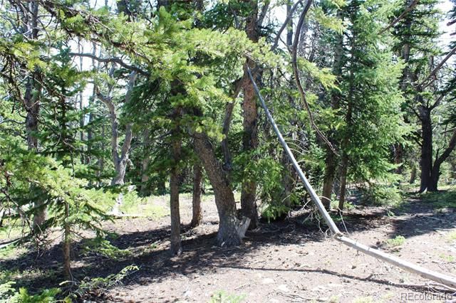 00 FS 412.1J, Black Hawk, CO 80422