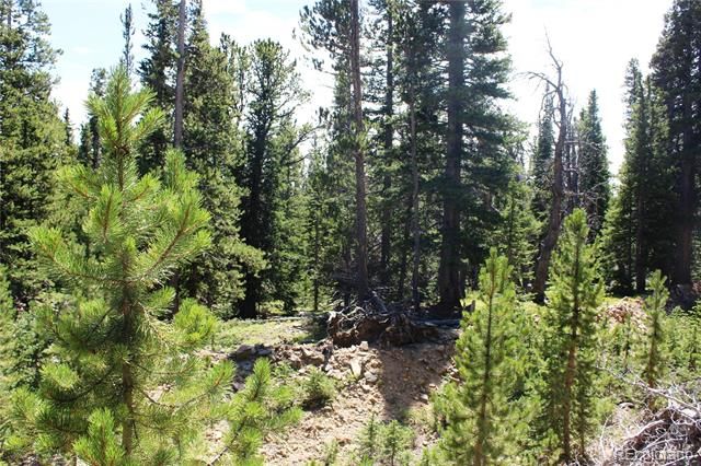 00 FS 412.1J, Black Hawk, CO 80422