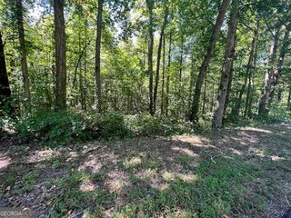 0 Old Draketown Trail, Temple, GA 30179