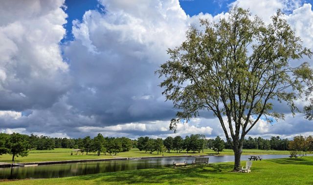 16072 Ridge Oak Road, Willis, TX 77378