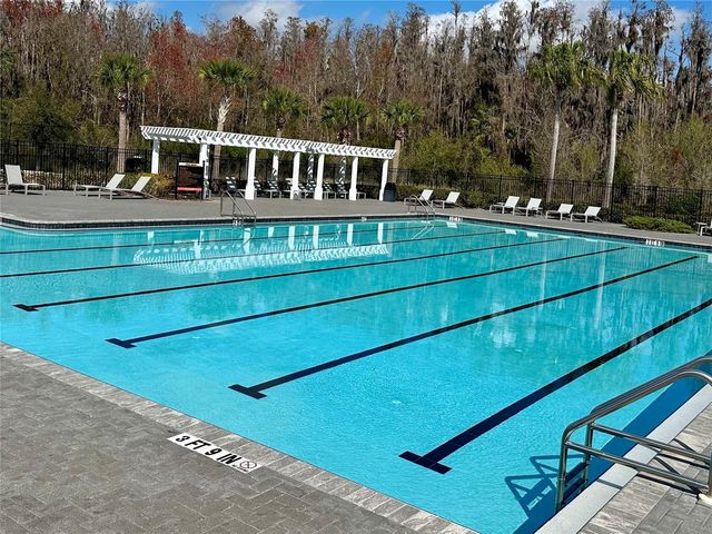 32860 BROOKS HAWK LANE, Wesley Chapel, FL 33543