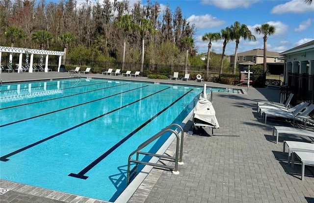 32860 BROOKS HAWK LANE, Wesley Chapel, FL 33543