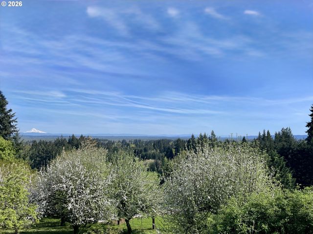33501 BLAHA Rd, Warren, OR 97053
