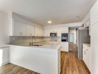 112 Trellis Place, Richardson, TX 75081