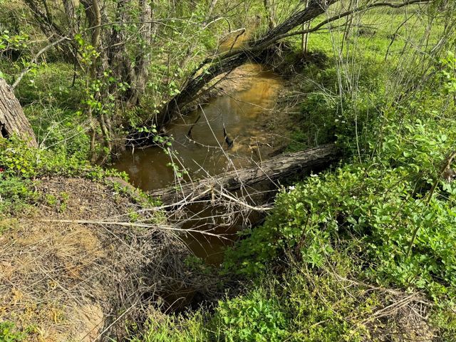 TBD County Road 394, El Campo, TX 77437