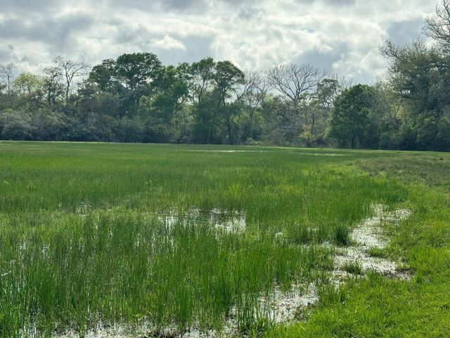 TBD County Road 394, El Campo, TX 77437