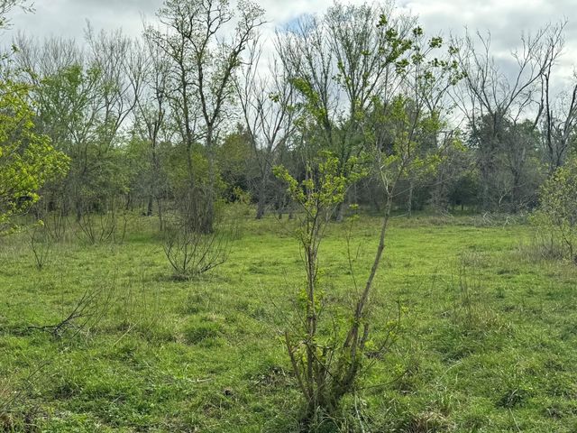 TBD County Road 394, El Campo, TX 77437