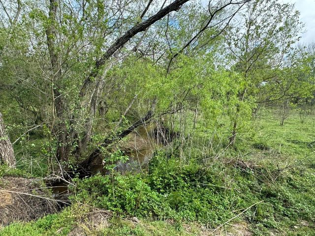 TBD County Road 394, El Campo, TX 77437