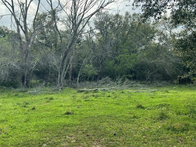 TBD County Road 394, El Campo, TX 77437
