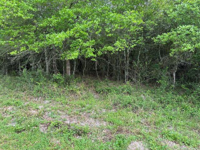 TBD County Road 394, El Campo, TX 77437