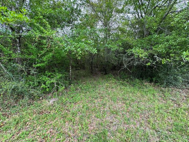 TBD County Road 394, El Campo, TX 77437