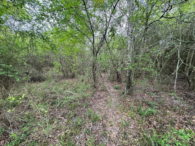 TBD County Road 394, El Campo, TX 77437