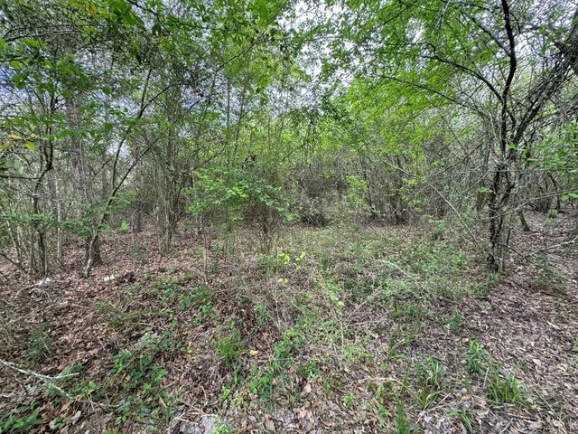 TBD County Road 394, El Campo, TX 77437
